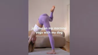 morning yoga with a dog is always a struggle #ballet #yoga #dogmom #dogyoga