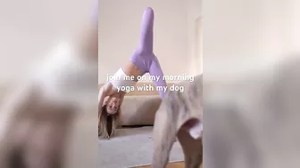 morning yoga with a dog is always a struggle #ballet #yoga #dogmom #dogyoga #3