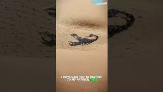 SHORTS TEMPORARY TATTOO | Magic tattoo Scorpion ????✨ #tattoo #tattoosticker #temporarytattoo