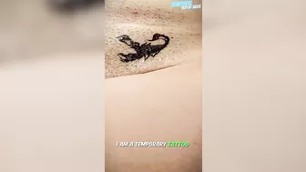 SHORTS TEMPORARY TATTOO | Magic tattoo Scorpion ♥️♥️✨ #tattoo #tattoosticker #temporarytattoo #2