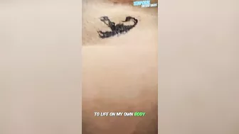 SHORTS TEMPORARY TATTOO | Magic tattoo Scorpion ♥️♥️✨ #tattoo #tattoosticker #temporarytattoo #3