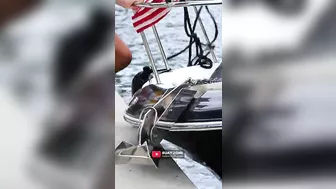 BOAT CRASH in Miami! #2